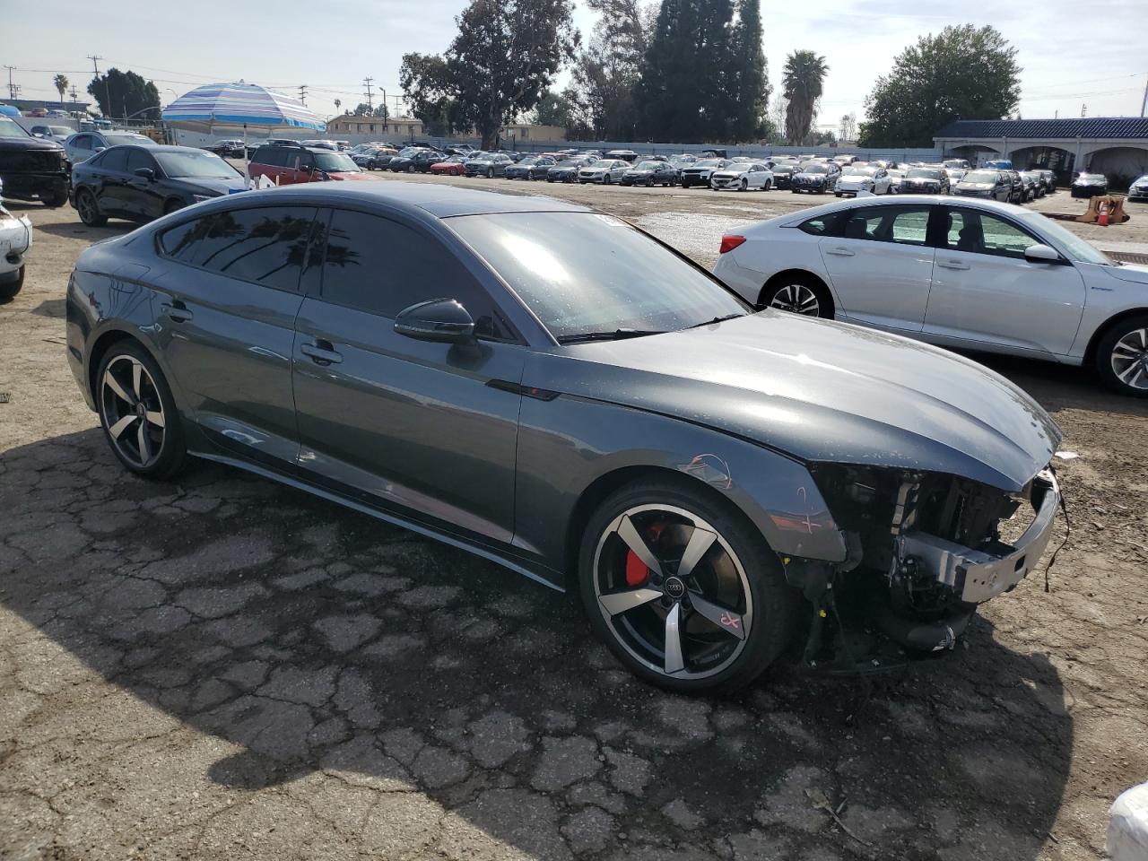 Audi A5 2024