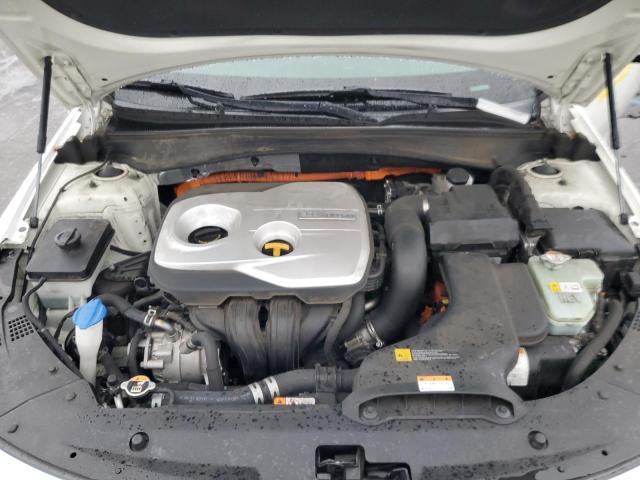 2020 KIA OPTIMA PLU KNAGV4LD8L5036075