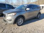 Top Destinations for Shipping Cars from the USA