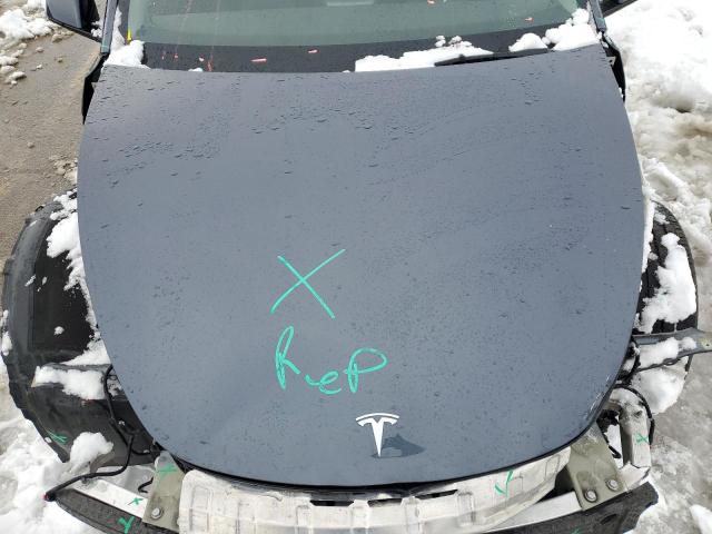 2023 TESLA MODEL Y - 7SAYGAEE4PF698636