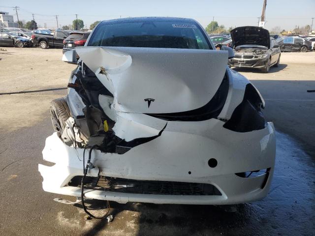 2022 TESLA MODEL Y - 7SAYGDEF8NF381644