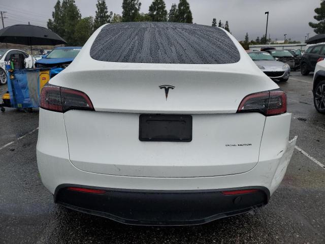 2023 TESLA MODEL Y 7SAYGDEE5PF621601