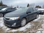 Top Destinations for Shipping Cars from the USA