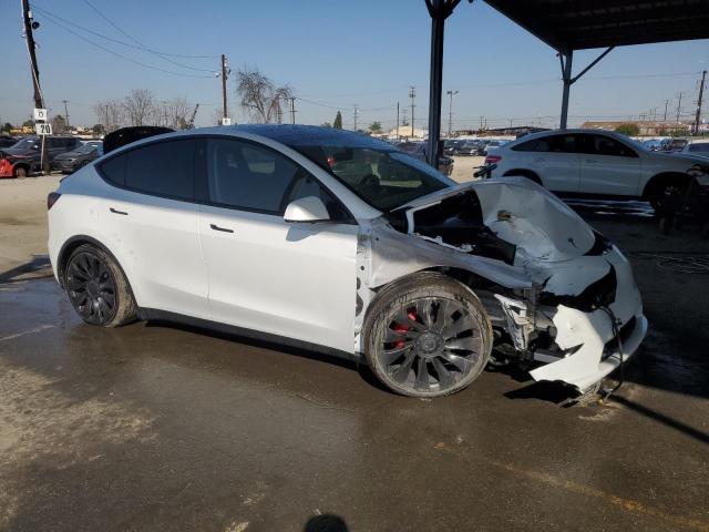 2022 TESLA MODEL Y - 7SAYGDEF8NF381644