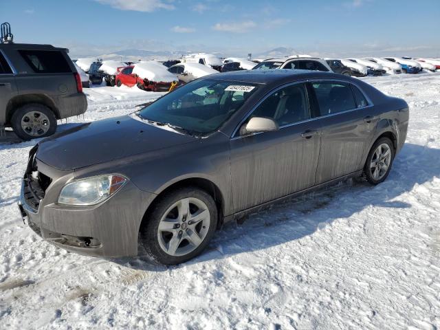 Vin: 1g1zc5eb3af219810, lot: 45431625, chevrolet malibu 1lt 2010 img_1