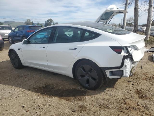 2023 TESLA MODEL 3 - 5YJ3E1EA9PF546149