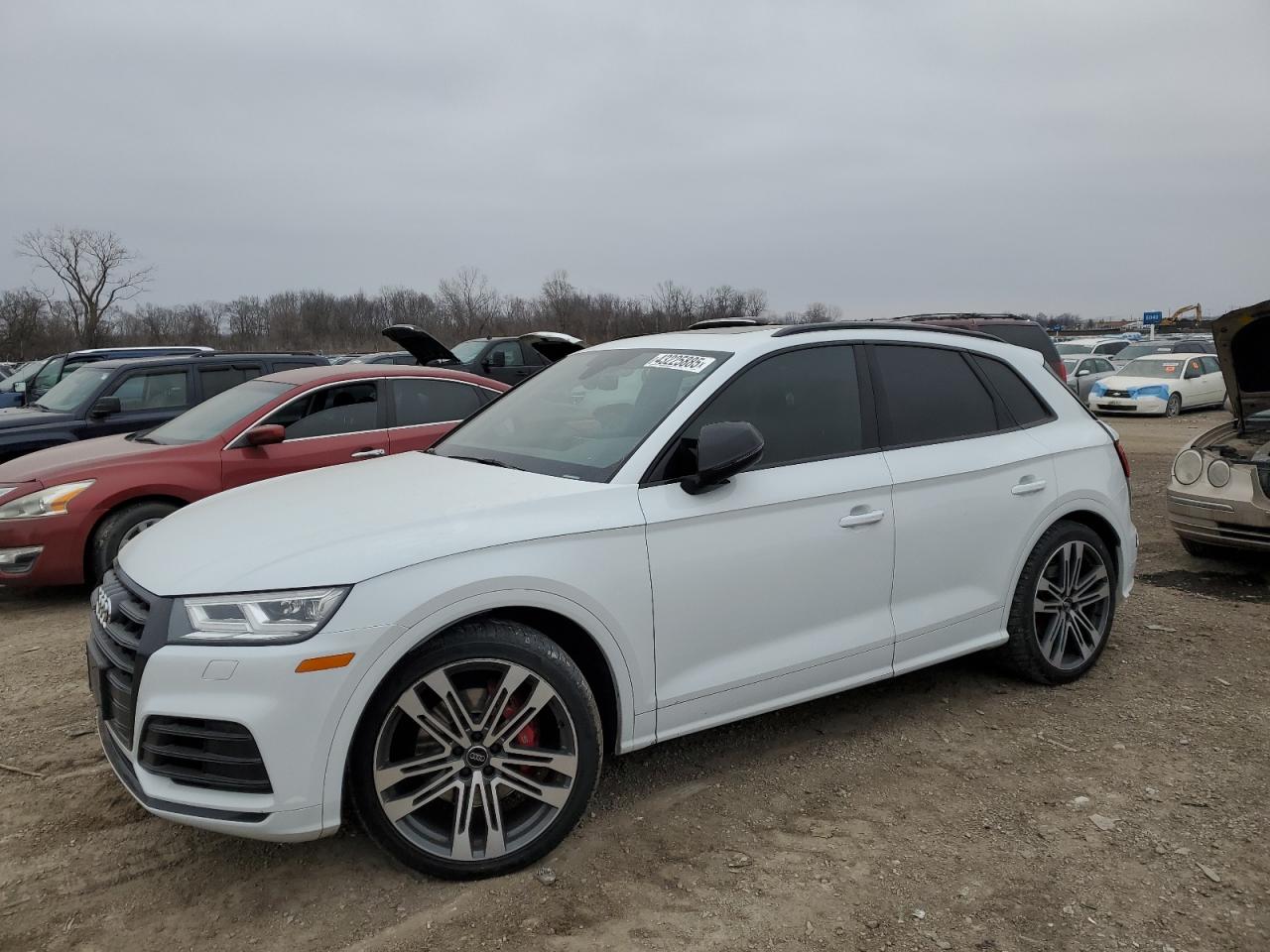 AUDI SQ5 PREMIUM PLUS