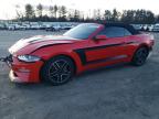 2023 FORD MUSTANG - 1FATP8UH4P5101374