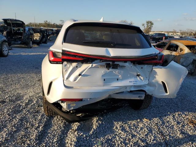 2025 LEXUS NX 350 LUX JTJHGCEZ5S2023396