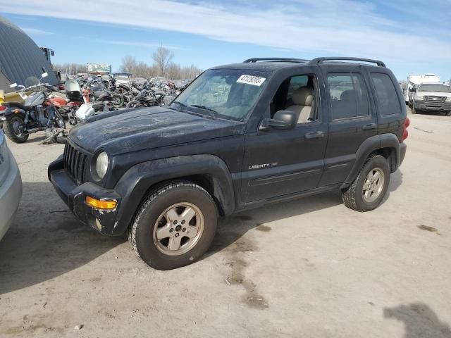 JEEP LIBERTY LI