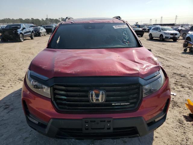 2024 HONDA PASSPORT B 5FNYF8H84RB001631