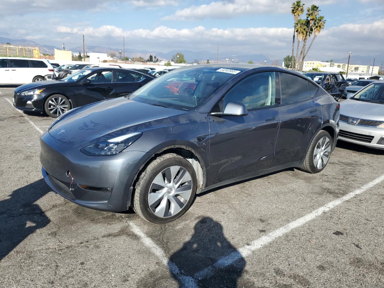 TESLA MODEL Y