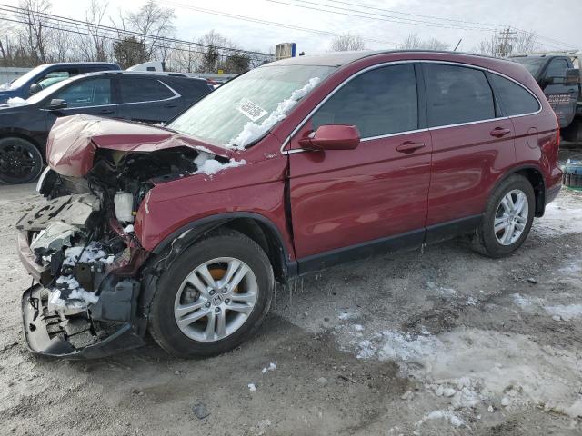 Vin: 5j6re4h74bl120879, lot: 45501595, honda crv exl 2011 img_1