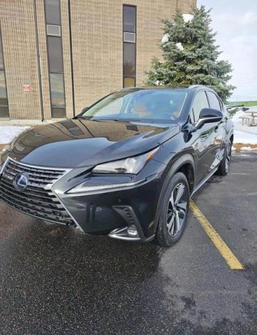 2020 LEXUS NX 300H JTJGJRDZ6L5007340