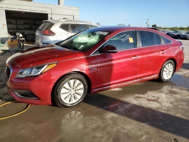 HYUNDAI SONATA HYB 2016 red sedan 4d hybrid engine KMHE24L18GA015180 photo #1