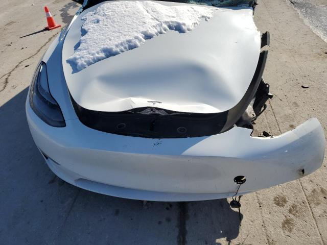 2023 TESLA MODEL Y - 7SAYGAEE3PF767171