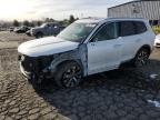 2020 KIA TELLURIDE - 5XYP6DHC5LG069669