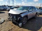 2024 HYUNDAI TUCSON LIM - KM8JECD11RU161498
