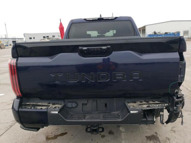 2023 TOYOTA TUNDRA CRE - 5TFNA5ABXPX029779
