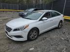 2016 HYUNDAI SONATA SE - 5NPE24AF7GH336543