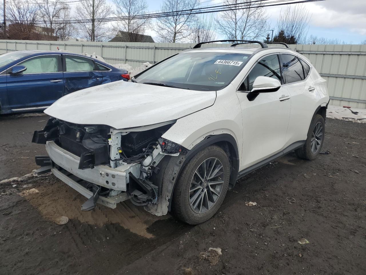 JTJAKCEZXP5006616 LEXUS NX 350H 2023