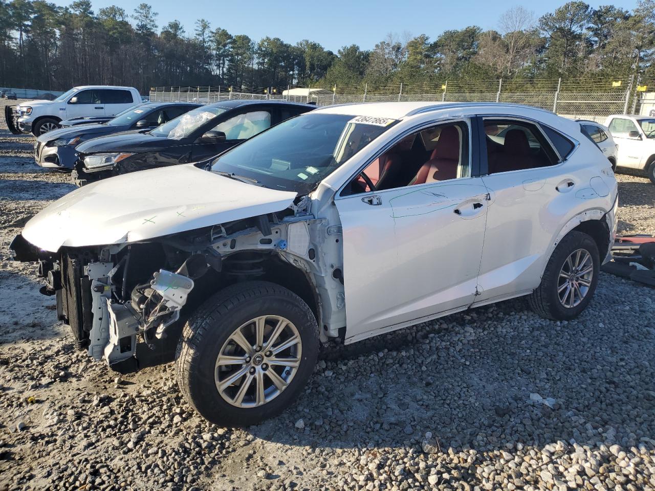 JTJYARBZ0K2142739 LEXUS NX 300 BAS 2019