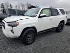 2024 TOYOTA 4RUNNER SR - JTEMU5JR5R6224323