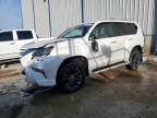 2023 LEXUS GX 460 - JTJAM7BX2P5344631