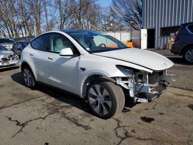 2023 TESLA MODEL Y - 7SAYGDEE5PF831826