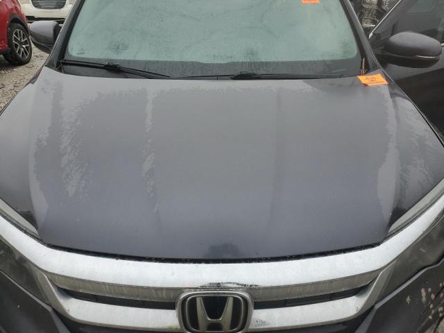 2019 HONDA PILOT EXL - 5FNYF6H57KB045915