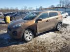 Top Destinations for Shipping Cars from the USA