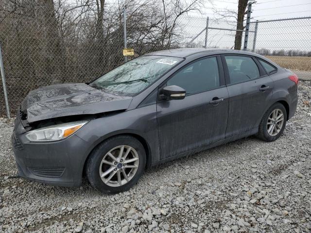 Vin: 1fadp3f28gl305056, lot: 44139065, ford focus se 2016 img_1