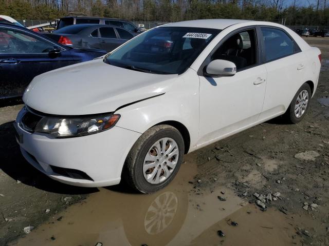 KIA FORTE EX