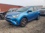 2016 TOYOTA RAV4 XLE - 2T3WFREV8GW278653