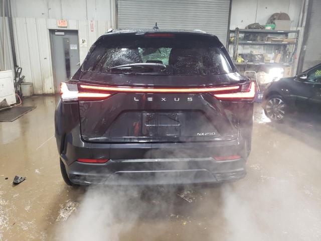 2022 LEXUS NX 250 - 2T2ADCAZ4NC002205