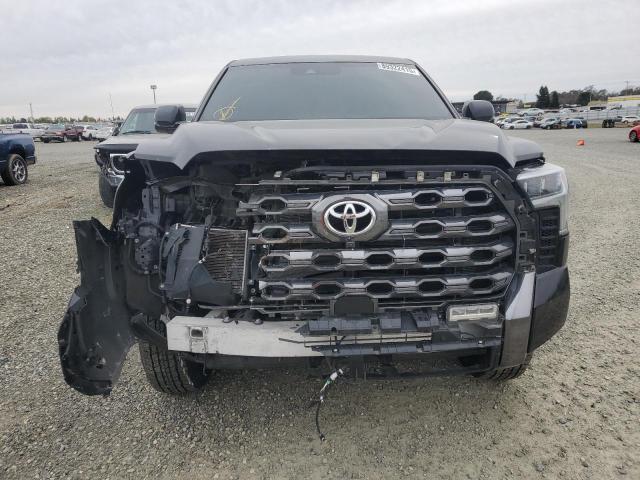 2023 TOYOTA TUNDRA PIC 5TFNA5DB2PX085582