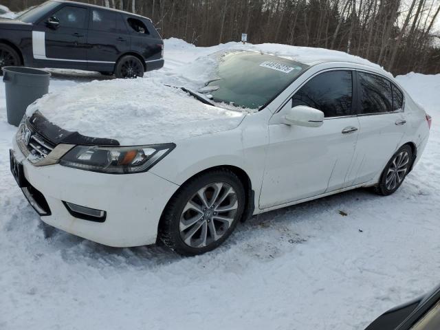 HONDA ACCORD SPO