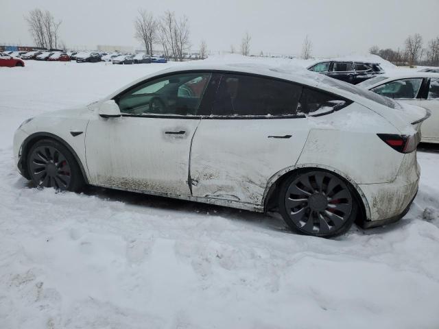 2022 TESLA MODEL Y 7SAYGDEF4NF378191