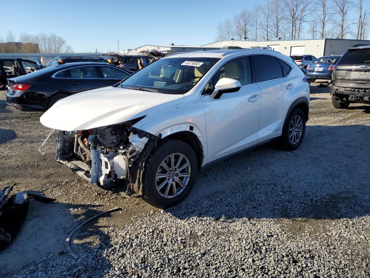 JTJBJRBZ7K2104527 LEXUS NX 300H 2019