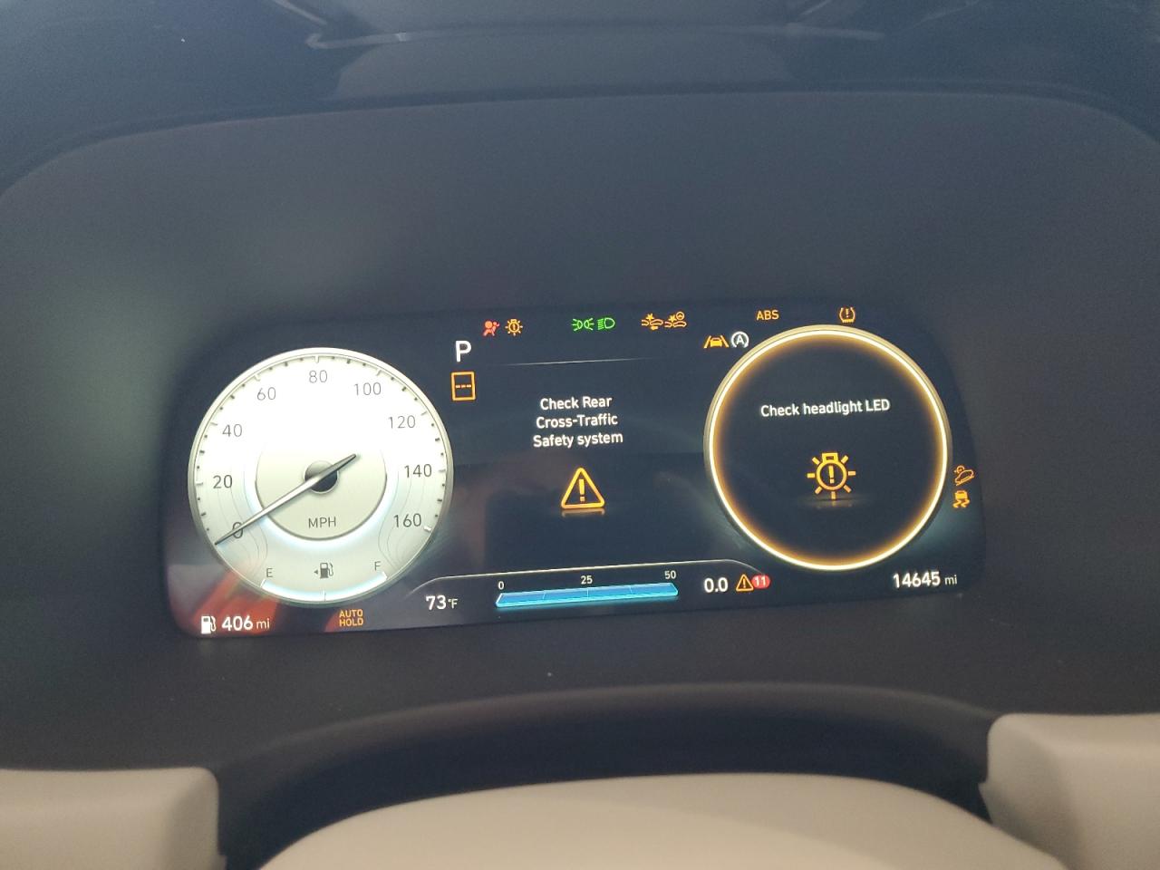 HYUNDAI PALISADE CALLIGRAPHY