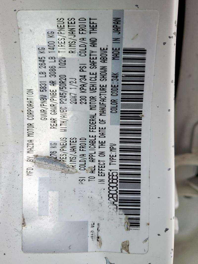 2011 MAZDA CX-9 - JM3TB2DA2B0306651