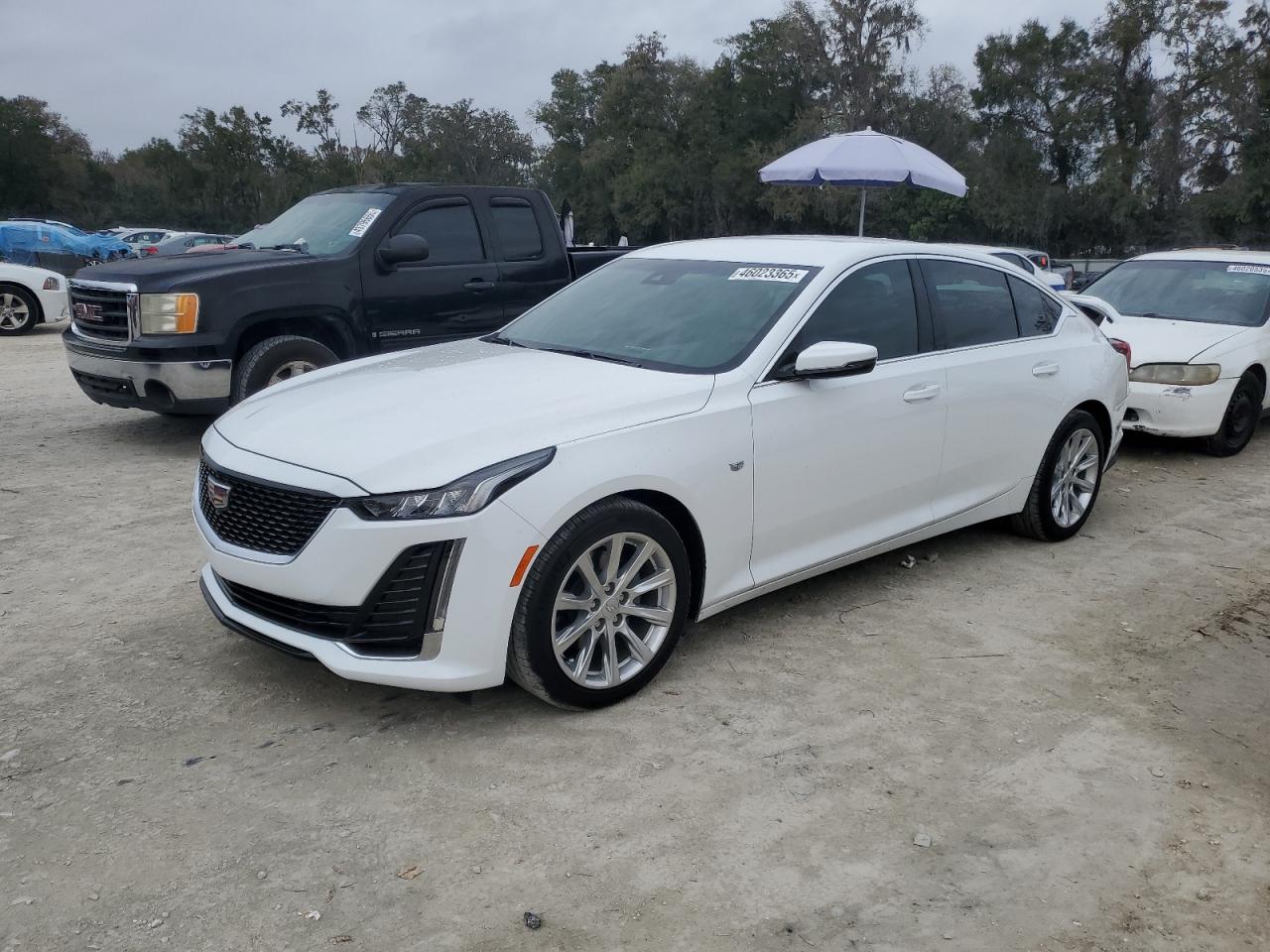 1G6DM5RK5R0128676 CADILLAC CT5 LUXURY 2024