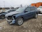 2021 JEEP CHEROKEE L - 1C4PJLCB3MD196105