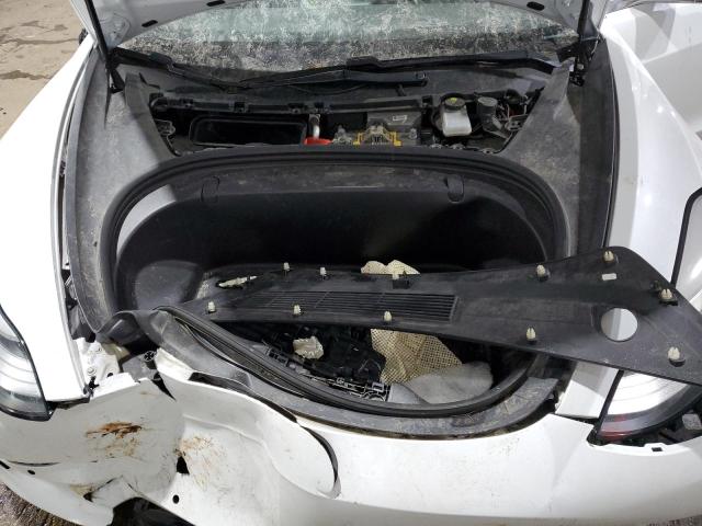 2019 TESLA MODEL 3 - 5YJ3E1EB7KF493324