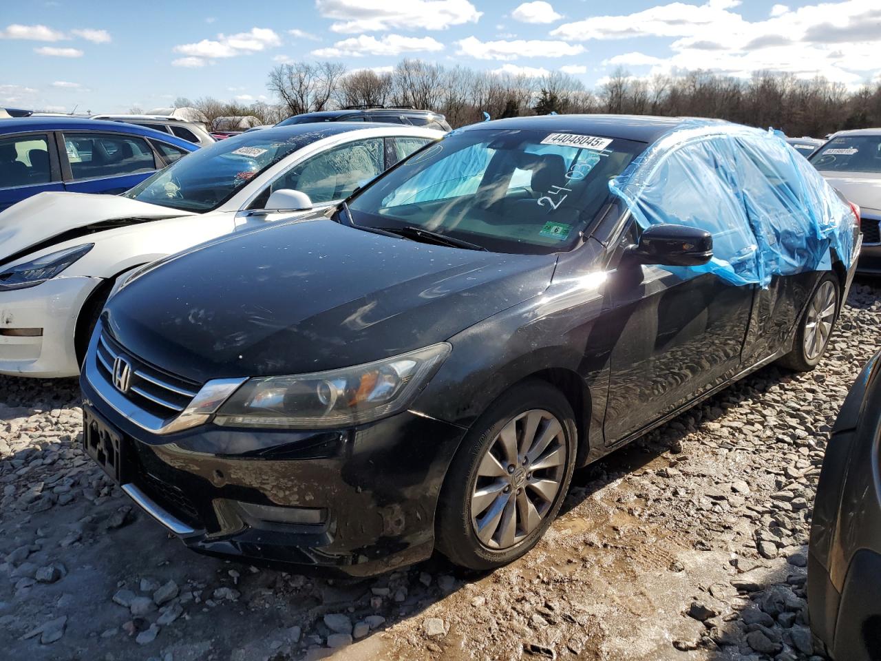 HONDA ACCORD EXL