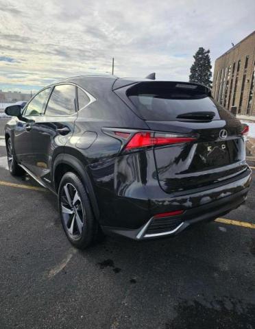 2020 LEXUS NX 300H JTJGJRDZ6L5007340