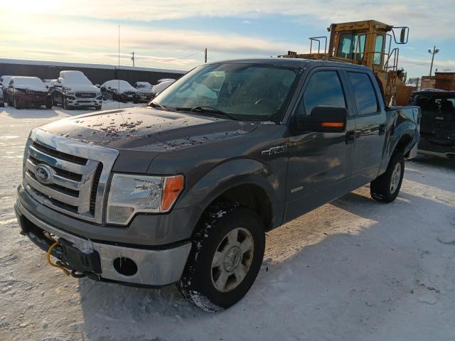 Vin: 1ftfw1et9cfa79140, lot: 45445275, ford f-150 supercrew 2012 img_1
