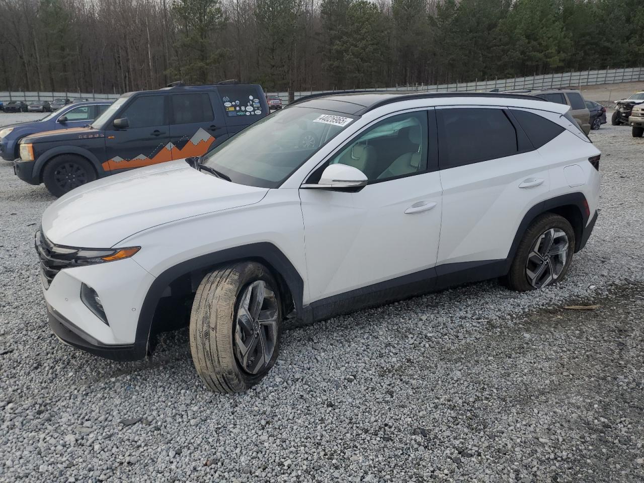 5NMJECDE1RH412096 HYUNDAI TUCSON LIM 2024