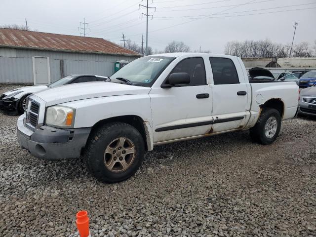 2005 DODGE DAKOTA QUA #3102177568