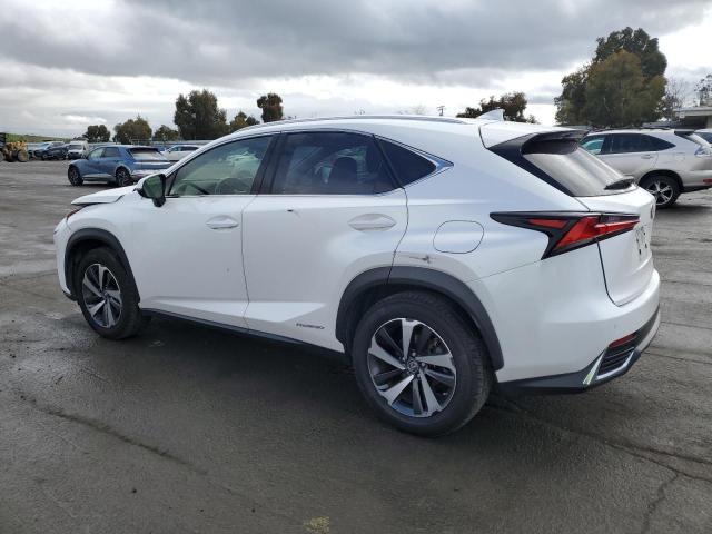 2021 LEXUS NX 300H BA JTJGJRDZ9M2166856